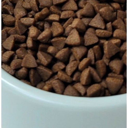 전연령 강아지 소프트플러스 참좋은 황태 소프트사료 소 × 1kg × 2개
