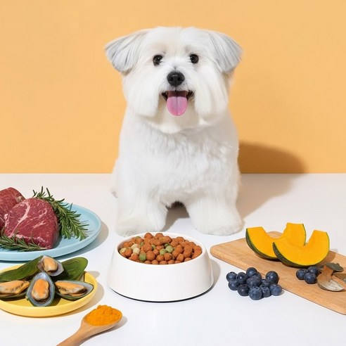 노령견용 강아지 닥터 소프트 사료 소 × 3kg × 1개