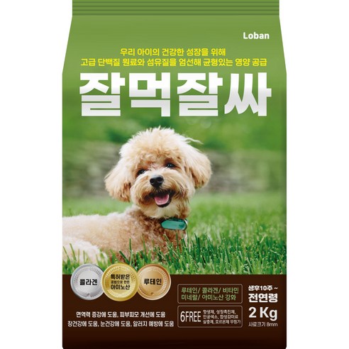 6free 강아지 사료 연어 × 2kg × 1개