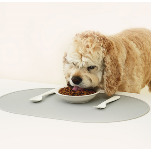전연령 식스프리 플러스 인도어 독 건식사료 양+쌀 × 5.6kg × 1개