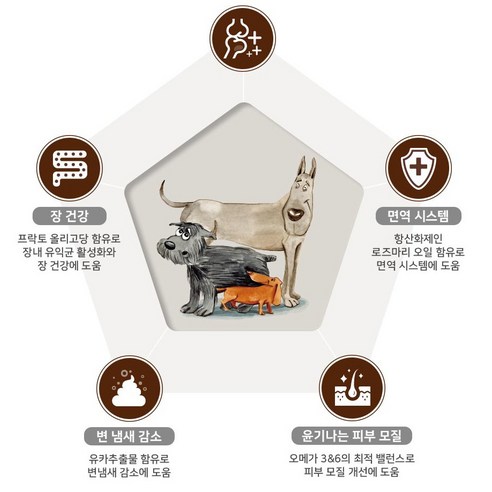 전연령 강아지 클래식 건식사료 닭 × 5kg × 2개