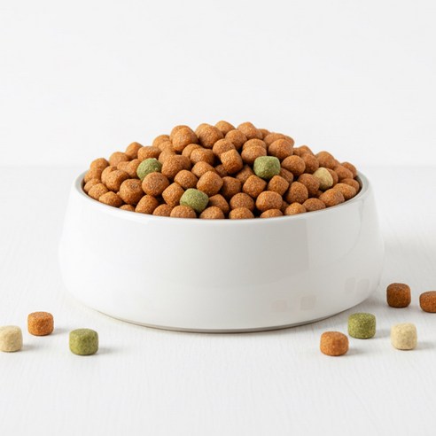 노령견용 강아지 닥터 소프트 사료 소 × 3kg × 1개