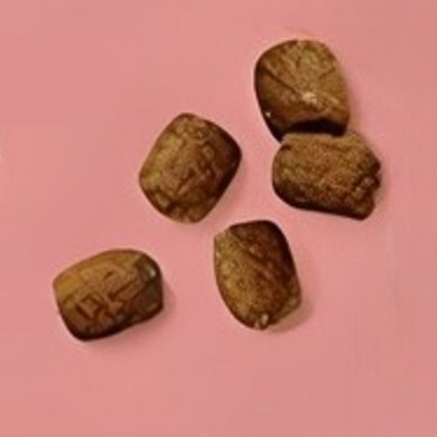 전연령용 독 소프트사료 연어 × 5.4kg × 1개