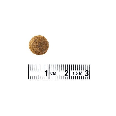 전연령 강아지 더 클래식 사료 5kg × 가수분해 닭 × 2개