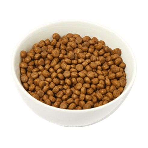 6free 강아지 사료 연어 × 2kg × 1개