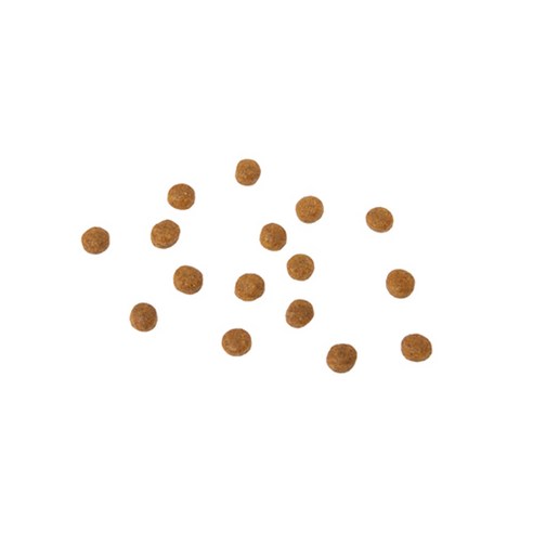 6free 강아지 사료 연어 × 2kg × 1개