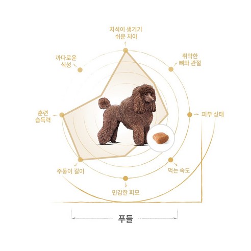 로얄캐닌 푸들 어덜트 8+ 상품 이미지 6