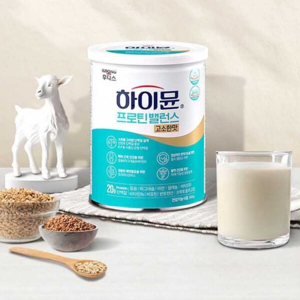 하이뮨 프로틴 밸런스 고소한맛, 304g, 2개 이미지 4