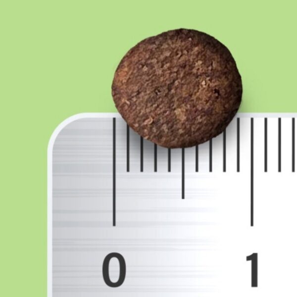 이즈칸 어덜트 강아지 퍼포먼스 건식사료, 닭, 2.5kg, 2개 이미지 3