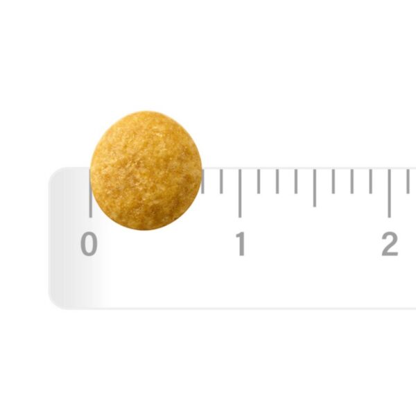 하림펫푸드밥이보약 강아지 기능성 사료, 눈물개선, 눈건강, 3.4kg, 1개 이미지 4