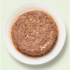 동원뉴트리플랜 고양이 간식 습식캔, 혼합맛(흰살참치, 멸치), 160g, 48개 이미지 3