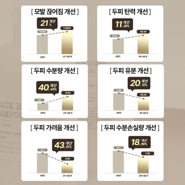 바이아우어 블랙 비어 이스트 샴푸 앰버우드향, 500ml, 2개