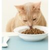 ANF 식스프리플러스 캣 기능성 사료 이미지 5