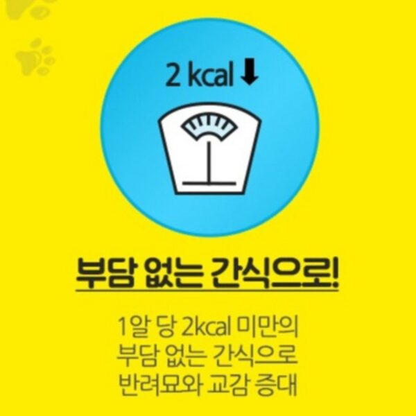 템테이션 고양이 메가팩 스낵 간식, 부드러운 우유맛, 160g, 5개 이미지 6