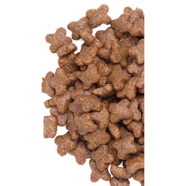 캐츠랑 키튼 8kg 2세이하 아기고양이사료 닭고기참치, 닭+참치, 2kg, 1개 이미지 2