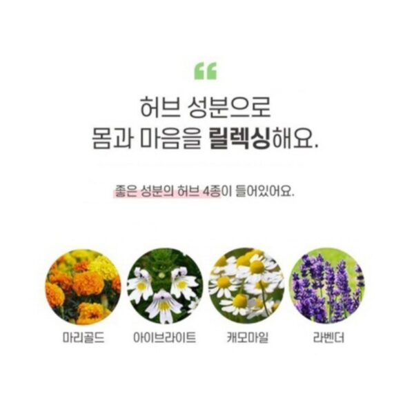메디힐리 보이는 아이온팩, 5개, 5개입 이미지 3