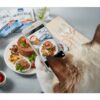 동원뉴트리플랜 고양이 간식 습식캔, 혼합맛(흰살참치, 닭가슴살), 160g, 72개 이미지 7