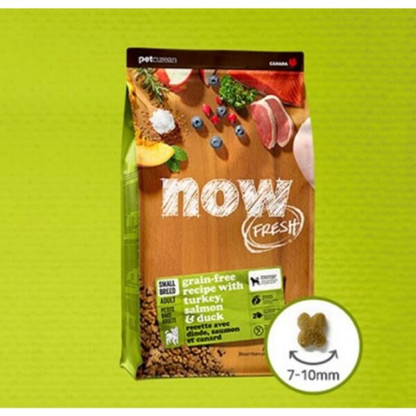 now 어덜트 강아지 그레인프리 스몰브리드 건식사료, 칠면조, 2kg, 2개 이미지 4