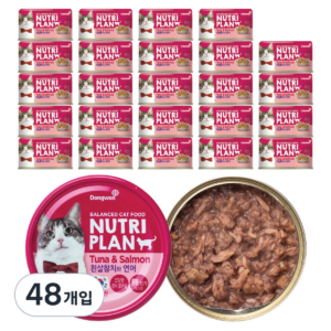 동원뉴트리플랜 고양이 간식 습식캔, 혼합맛(흰살참치, 연어), 160g, 48개 이미지 1 동원뉴트리플랜 고양이 간식 습식캔, 혼합맛(흰살참치, 연어), 160g, 48개 이미지 1