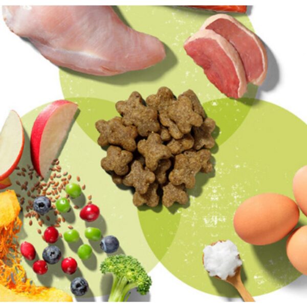 now 어덜트 강아지 그레인프리 스몰브리드 건식사료, 칠면조, 2kg, 2개 이미지 3