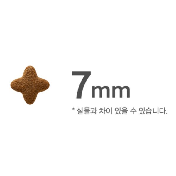 캐츠랑 키튼 8kg 2세이하 아기고양이사료 닭고기참치, 닭+참치, 1개 이미지 3