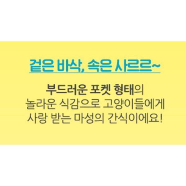 템테이션 고양이 메가팩 스낵 간식, 부드러운 우유맛, 160g, 5개 이미지 5