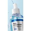 웰라쥬 리얼 히알루로닉 블루 앰플, 100ml, 1개