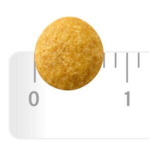 하림펫푸드밥이보약 고양이 기능성 사료, 시니어, 2kg, 1개 이미지 6