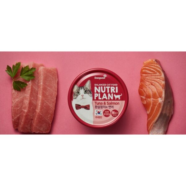 동원뉴트리플랜 고양이 간식 습식캔, 혼합맛(흰살참치, 연어), 160g, 48개 이미지 3