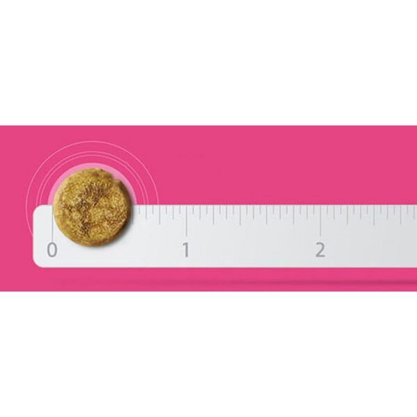 하림펫푸드밥이보약 고양이 기능성 사료, 스트레스완화, 안정, 집중력관리, 3.4kg, 1개 이미지 5