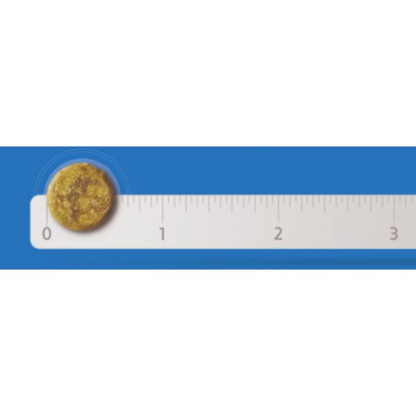 하림펫푸드밥이보약 강아지 기능성 사료, 다이어트(체중유지), 2kg, 1개 이미지 2