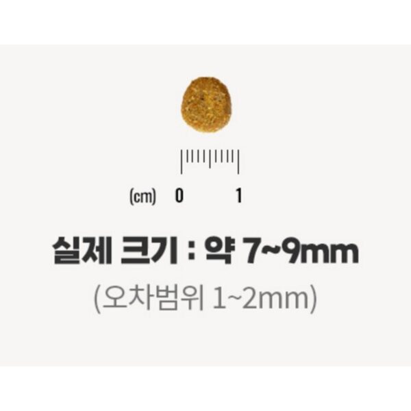 네추럴발란스 어덜트 고양이 오리지날 울트라 그레인프리 인도어 레시피 드라이 사료 이미지 6