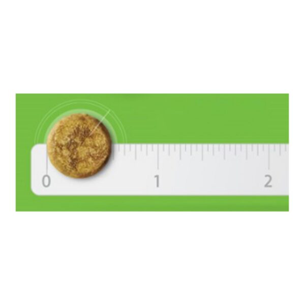 하림펫푸드밥이보약 강아지 기능성 사료, 뼈, 관절강화, 2kg, 1개 이미지 5
